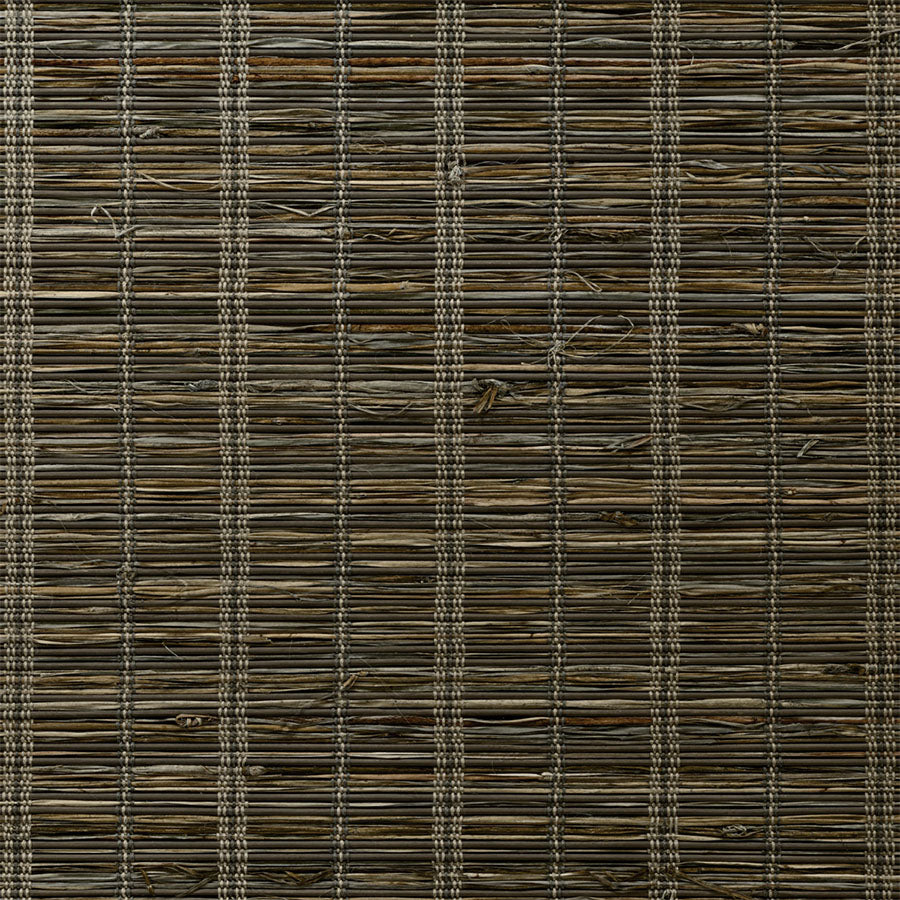 ColorizedSwatch Default Swatch 12536