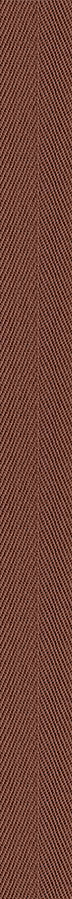 Pecan