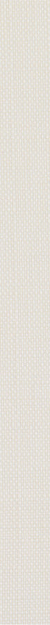 Cream Silk