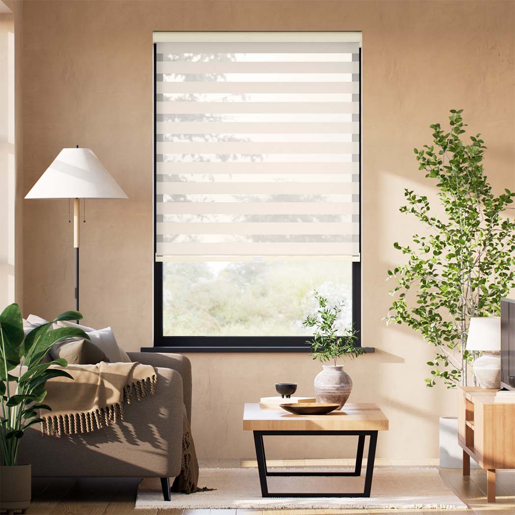 ColorizedFullRoom  11547