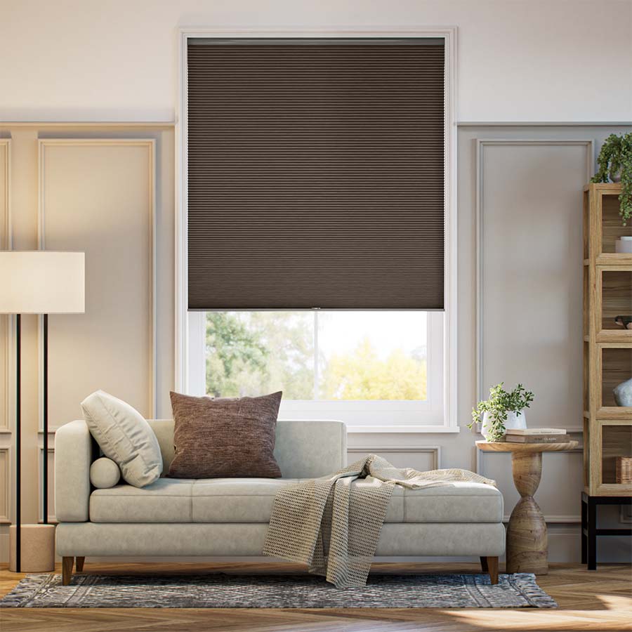 ColorizedFullRoom  20219