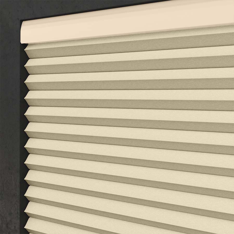ColorizedZoom  12597