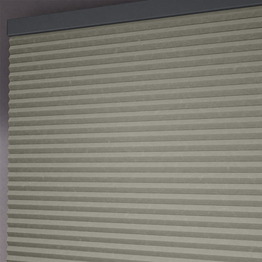 ColorizedZoom  10884