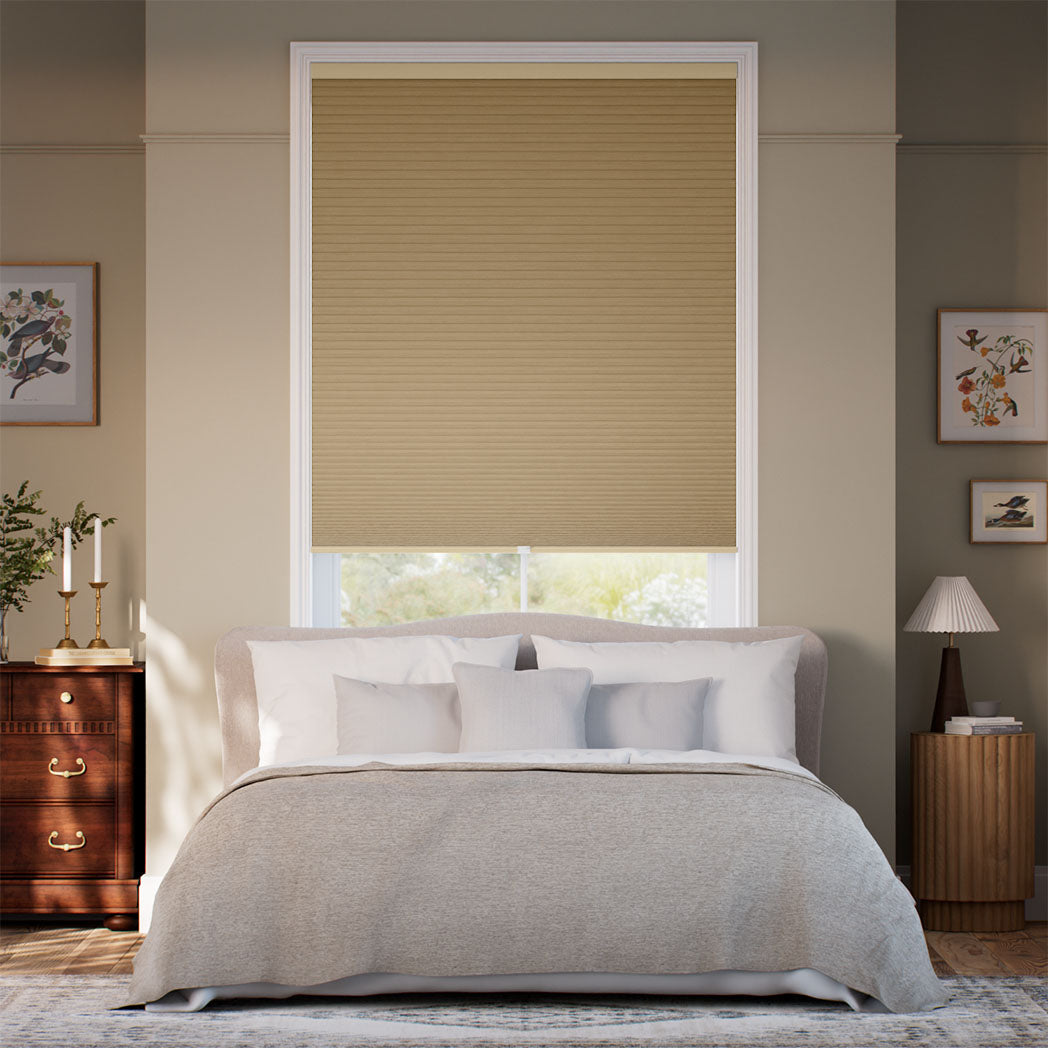 ColorizedFullRoom  22371