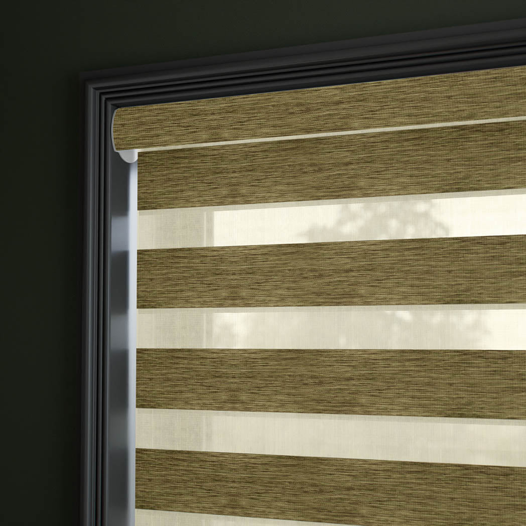 ColorizedZoom  12167