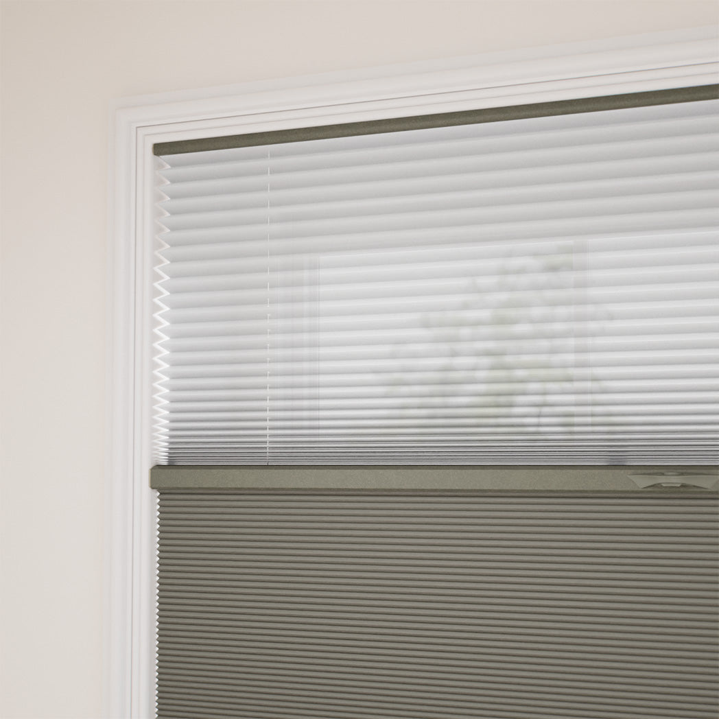 ColorizedZoom  14568
