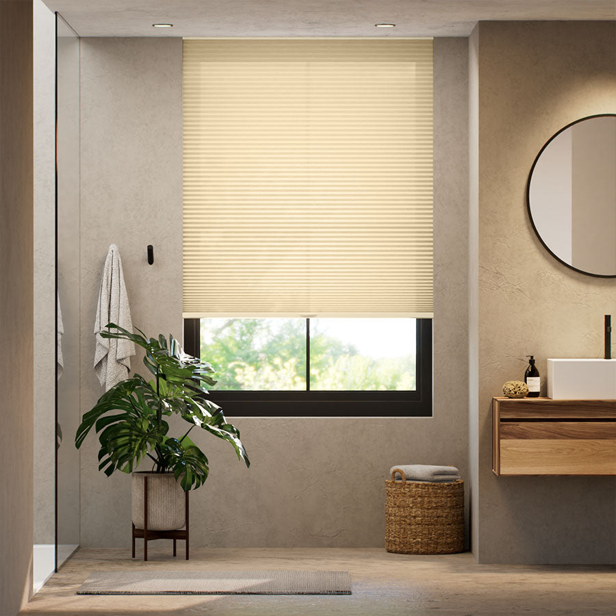 ColorizedFullRoom  23684