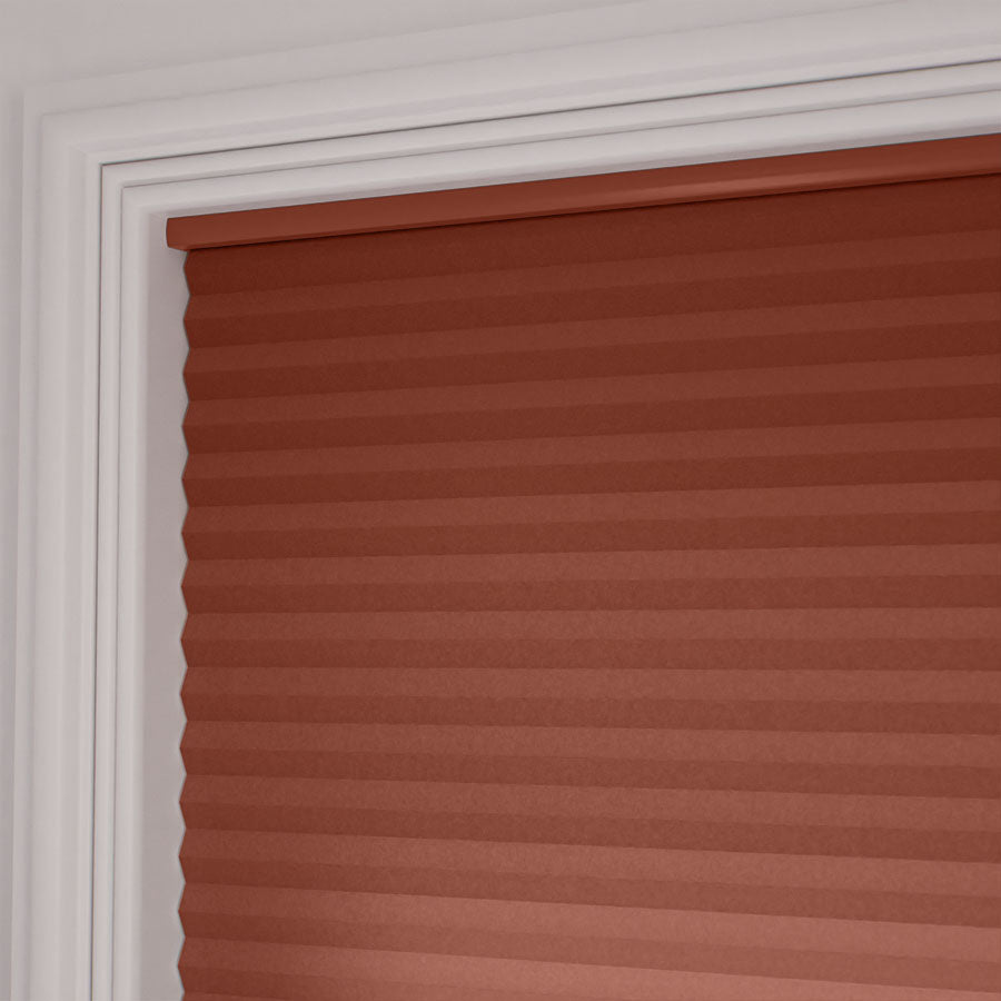 ColorizedZoom  13366